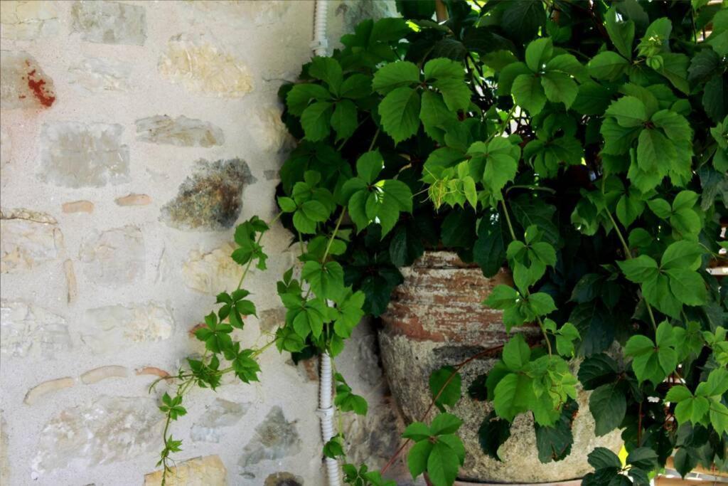 Traditional Stone House At Great Location Apartman Koróni Kültér fotó